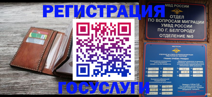 временная регистрация гарантия в Губкинском